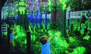 Luminous: The Art of Light at idea Museum