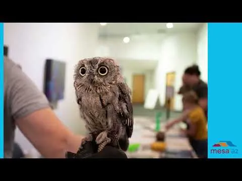 July 2021 - June 2022 Recap Video