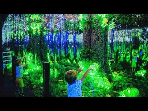 Luminous: The Art of Light | Opening Reception Sep 28, 2023 | i.d.e.a. Museum